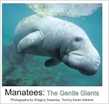 Amazon Com Manatees The Gentle Giants 9780977287307