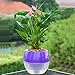 Mkono 3 Pack Self Watering Planter Plastic Flower Pot 5 Inch (Mixed Colors)