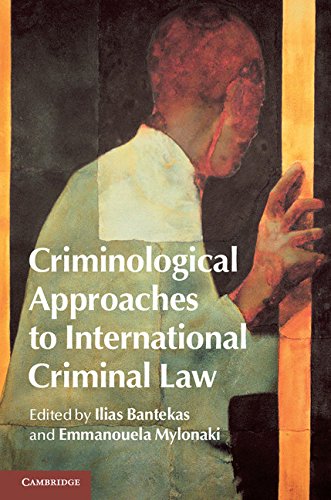 Criminological Approaches to International Criminal Law (English Edition)