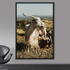 signwin Framed Canvas Wall Art Goat Animals Expressive...
