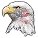 U.S. American Flag Eagle Head Magnet 3