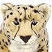 FAO Schwarz 19 inch Cheetah - Tan