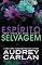 Livro Espírito Selvagem (Série Irmãs de Alma Livro 3)