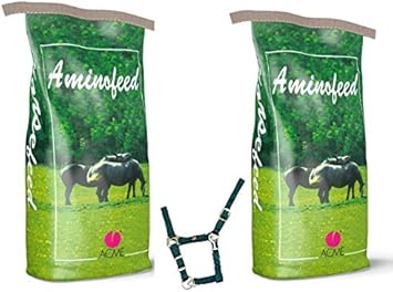 aminoacido per cavalli