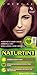 Naturtint Permanent Hair Color 4I Iridescent Chestnut (Pack of 6), Ammonia Free, Vegan, Cruelty Free, up to 100% Gray Coverage, Long Lasting Results