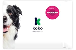 Koko Genetics DNA Test for Dogs Advanced - (+175 Reports of Breeds, Health and Traits) - Updates at no Cost