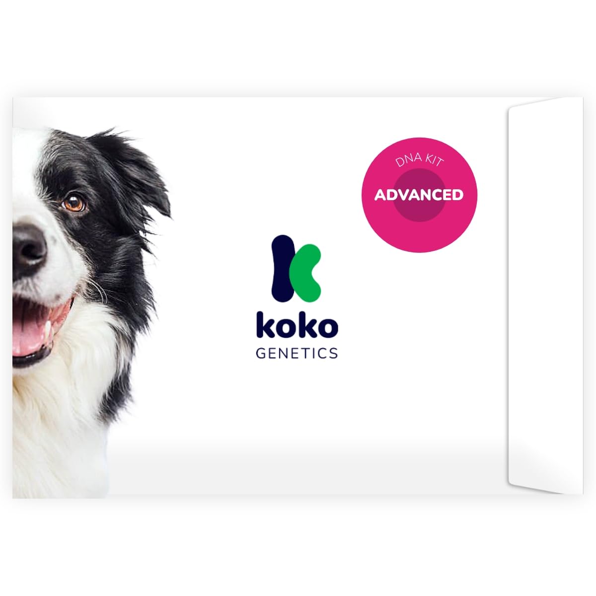 Koko Genetics DNA Test for Dogs Advanced (+175 Reports of Breeds, Health and Traits) - Upgrades at no cost