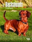 Dachshunds 2017 Calendar (Multilingual Edition)