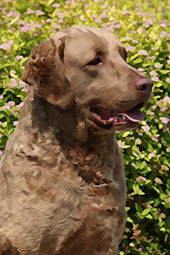 Chesapeake Bay Retriever: Artified Pets Journal/Notebook/Diary 160 Pages (Artistry) (Volume 73) Chesapeake Bay Retriever: Artified Pets Journal/Notebook/Diary 160 Pages (Artistry) (Volume 73)
