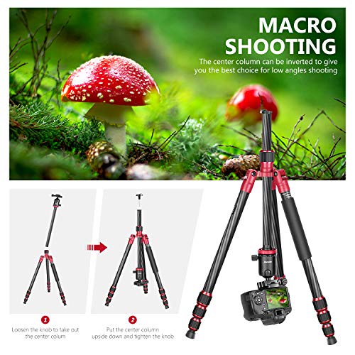 Neewer 66 inches/168 centimeters Carbon Fiber Camera Tripod Monopod