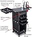 C180-LTH LF Salon SPA Roll-About Cart Locking Trolley & 110-Black TOP W/Appliance Tool Holder Made in USA by Dina Meri