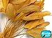 Moonlight Feather | 1 Dozen - Golden Yellow Stripped Rooster Coque Tail Feathers Craft Costume Supply