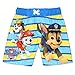 Paw Patrol Boy's Swim Trunks and Rash Guard Set (2T, Blue/Yellow)
