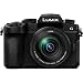 Panasonic Lumix DC-G95 Mirrorless Digital Camera with 12-60mm Lens (DC-G95MK) – Bundle – with 256GB Memory Card + LED Video Light + DMW-BLC12 Battery + Soft Bag + 12 Inch Flexible Tripod + Morethumb 2