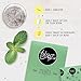 Tabooze Mint Mojito Sugar Free Cocktail & Drink Mixer Tablets, (16 Tablets)
