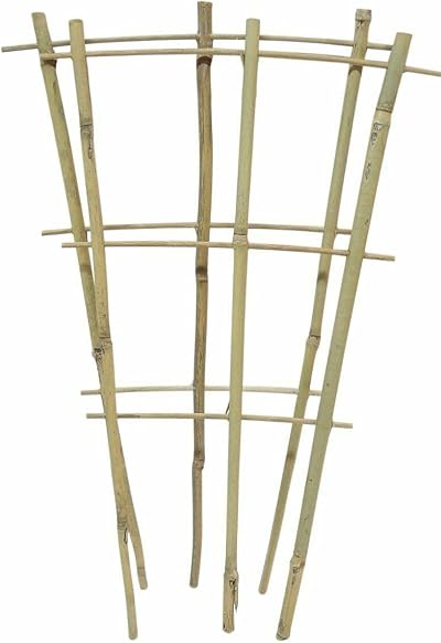 Muddy Hands Natural Bamboo Plant Pot Trek Trellis 110cm Garden Support