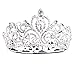 Gold Silver Crystal Heart Rhinestone Headband Crown for Cake Topper Party Wedding Princess Headpiece Tiara (Silver)