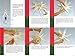Elf Logic - Moravian Star Tree Topper - Beautiful Bright White 3D Lighted Christmas Star Tree Topper - Advent Star, Bethlehem Star (Assembly Required) (12 Inch, LED)