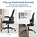 Giantex Ergonomic Desk Chair w/Portable Lumbar Pillow, Mesh Padded Seat and Flip up Armrests, Swivel Home Office Chair with Wheels, Adjustable Height Computer Desk Chair(Black)
