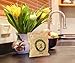 Natural Air Purifying Bag, CCbetter Deodorizer Bag, Activated Charcoal Bag,Odor Absorber for Car Kitchen and Room