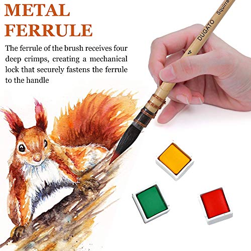 Professional Watercolor Squirrel Hair Paint Brushes by DUGATO, Mop