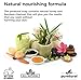 Puretural Luffa Soap Bar to Clean Dark Spots Body Scrub Soap for Stretch Marks Whitening with Bamboo Charcoal and Honey