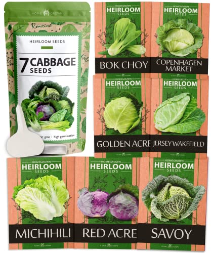 7 Cabbage Seeds for Planting - 2000+ Heirloom