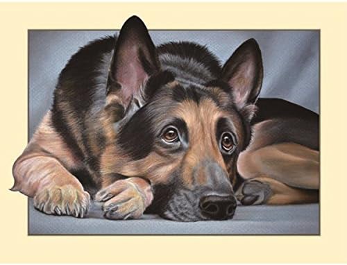 5D Diamond Painting Kit DIY Diamond Embroidery Painting 3D Stereoscopic Painting Handmade Wall Decoration Cross Stitch Printing Craft (Dog)