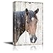 Canvas Prints Wall Art - Canvas Print Wall Art - Head of a Horse on Rustic Style Wood Background - Gallery Wrap Modern Home Decor | Ready to Hang - 16
