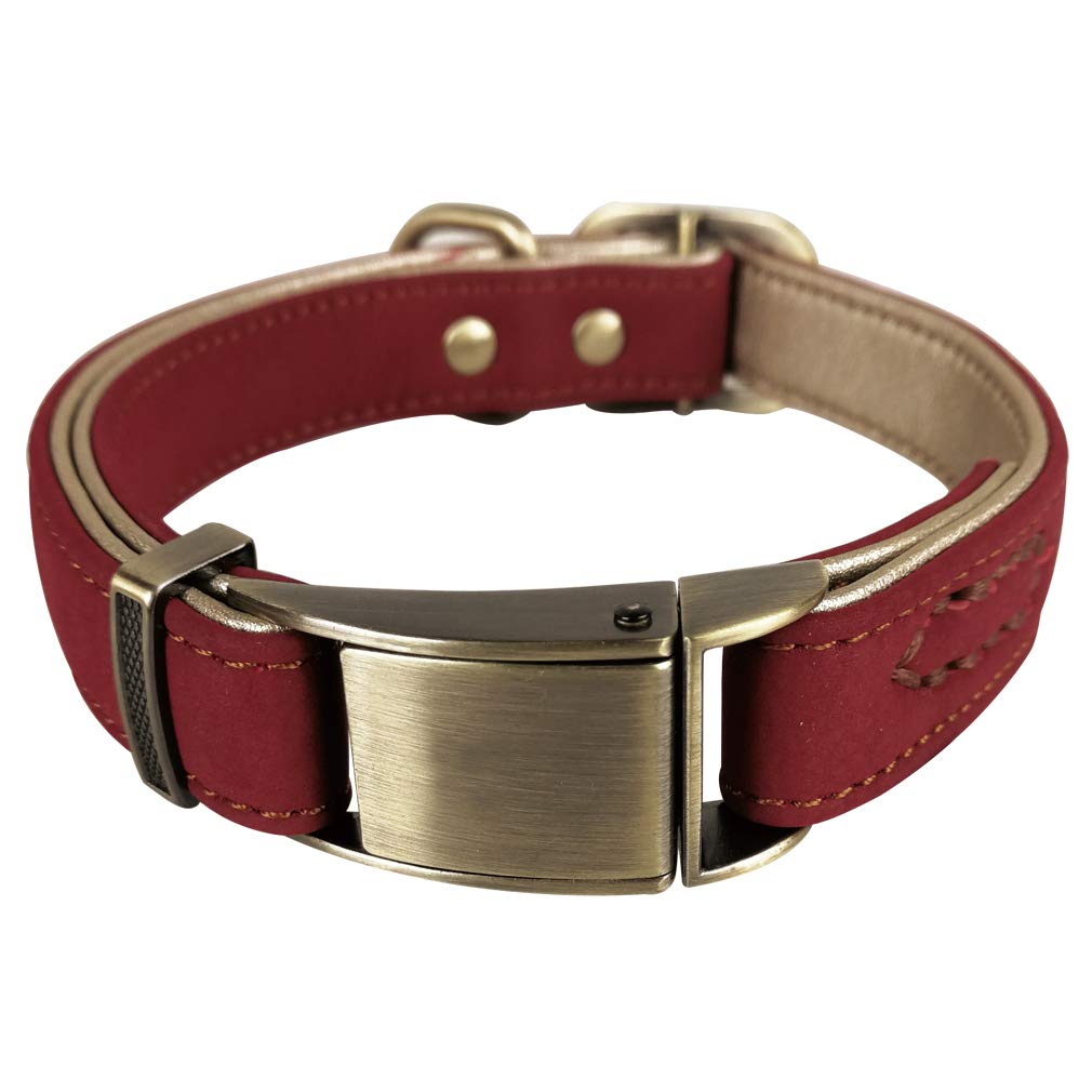 large cat collar