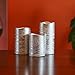 Lily's Home Everlasting Flameless Flickering LED Candles with Remote and Timer, Battery Powered, Scent and Smoke Free, Safe for Use Around Kids and Pets, Silver, Set of 3