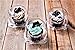 Green Direct Jumbo Muffin/Cupcake Boxes Single Compartment Stackable Cupcake Carrier - Plastic Dome Holder - Clear Containers BPA Free Pack of 50