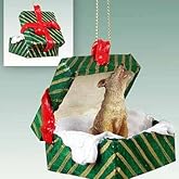 Coyote Gift Box Christmas Ornament - Delightful!