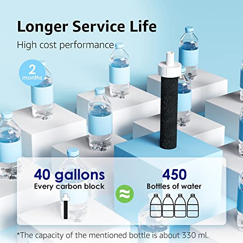 AQUA CREST Water Bottle Filter, Replacement for Brita® BB06, Brita Hard