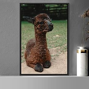 signwin Framed Canvas Wall Art Llama Animals Camels...
