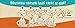 Muse by Purina Natural, Grain Free Pate Wet Cat Food, Ocean Whitefish & Mackerel Recipe - (24) 3 oz. Cans