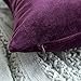 MIULEE Pack of 2 Velvet Soft Soild Decorative Square Throw Pillow Covers Set Cushion Case for Sofa Bedroom Car 16 x 16 Inch 40 x 40 cm Eggplant Purple