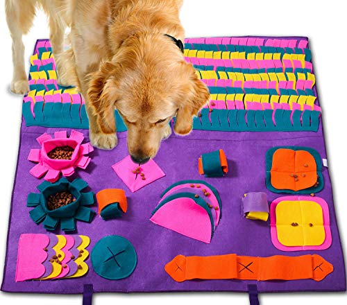 interactive dog mat