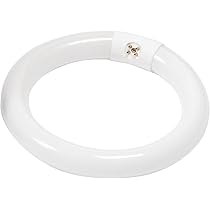 Round Pure Philips 280859 - Straight T8 Fluorescent Tube | LightBulbs.com