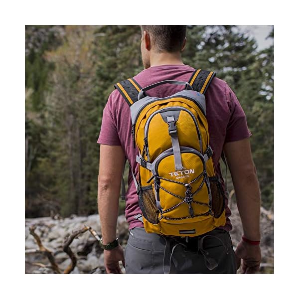 teton sports oasis 1100