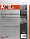 Image de Robbins & Cotran Pathologic Basis of Disease, 9e (Robbins Pathology)