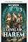 Livro Torre celeste (Harém Level Up Livro 3)