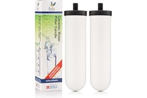 British Berkefeld Doulton Water Filter Candle Compatible with Replacement for Berkey Gravity Water Filter System BB9-2 2 Pack
