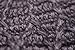 Pistil Women's Jax Knit Brim Beanie