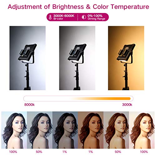 Bi-Color LED Video Lighting Kit Photography Panel 3000K-8000K 45W 19000 Lux TLCI 96 Dimmable for Studio YouTube Video Shooting Film Photo Twitch Live Stream Vlog Green Screen Lighting High Brightness