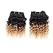Emmet 2pcs/lot 100g Short Wave 8Inch Brazilian Kinky Curly Human Hair Extension