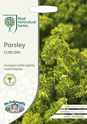 Mr Fothergills - Vegetable - RHS Parsley Curlina - 1000 Seeds