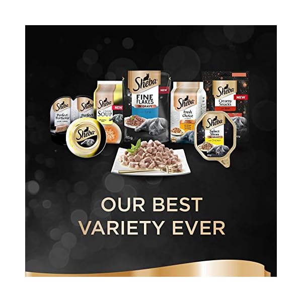 Sheba-Sauce-Lover-Mixed-Collection--Wet-cat-food-trays-for-adult-cats--48-x-85g Sheba Sauce Lover Mixed Collection – Wet cat food trays for adult cats – 48 x 85g