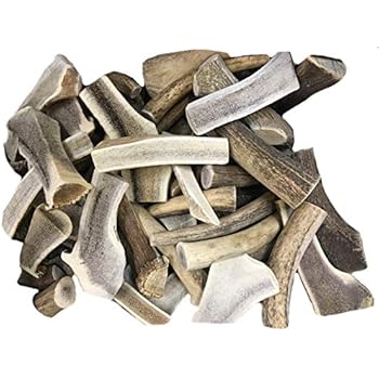 elk antlers for dogs amazon
