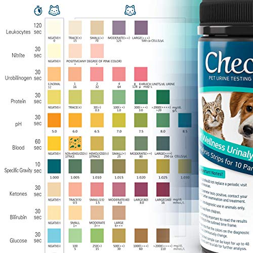 CheckUp 10 Parameters Urine Testing Strips for Cats and Dogs x 50